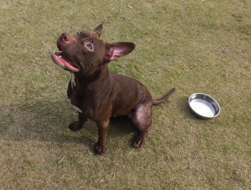 2014_110811-7さらちゃん