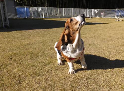 2014_112111-19マロン