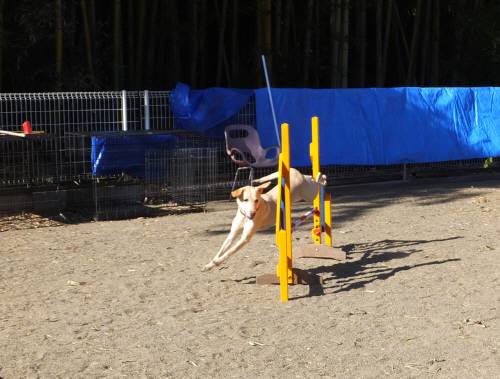 2014_111911-18なっちゃん