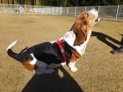 2014_112111-19まろん２