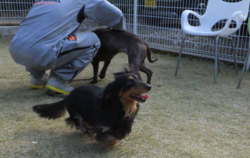 2014_112411-21ユズ