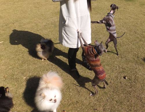 2014_111611-14モネマーブル