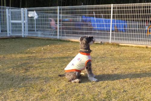 2014_112411-220006レン