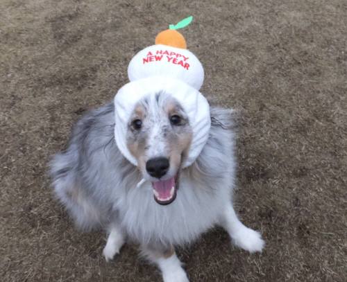 2014_121212-9餅アイル