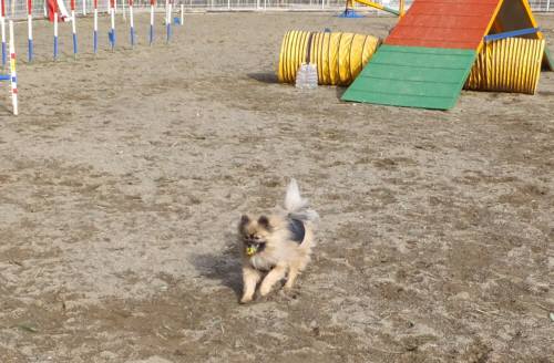 2014_122412-19ポンちゃん