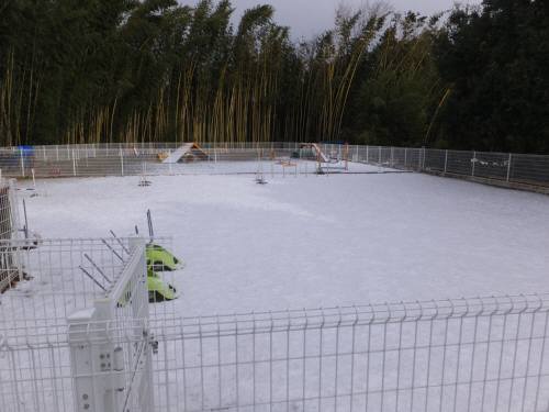 2014_121712-15雪景色