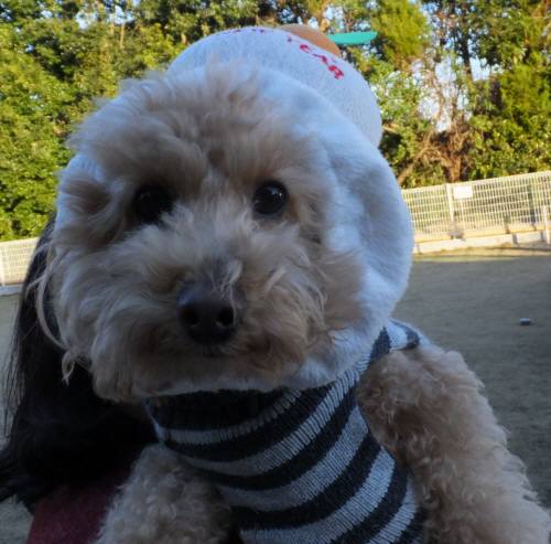 2014_122312-18ソナもち