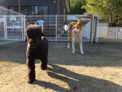 2014_122412-19シェリーとモグ