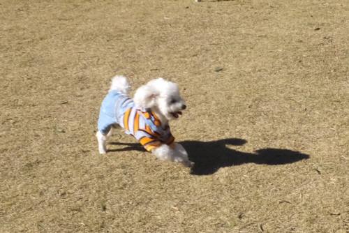 2014_120212-1タッキー