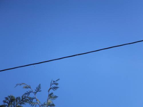 2014_121912-16そら