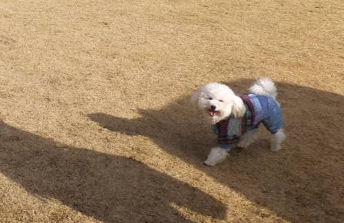 2014_122012-17タッキー