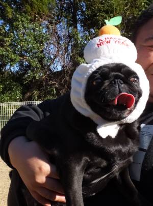 2014_122312-18もちおはぎ