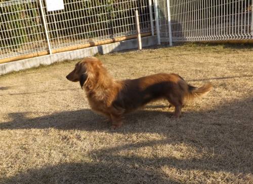 2014_121412-11りりぃ