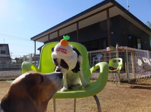 2014_120812-6マロンあられ