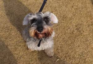 2014_122412-19シュート