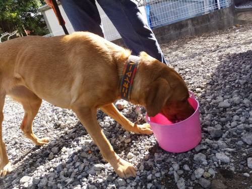 2014_122212-17ハミ