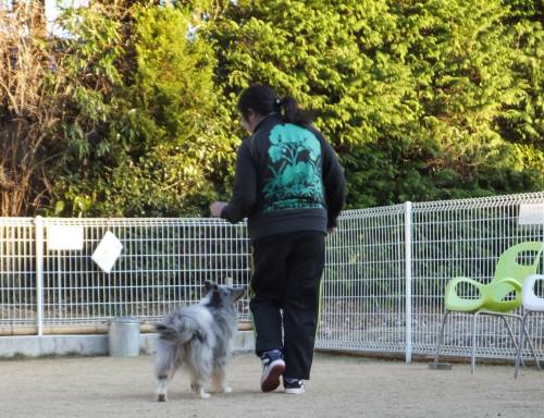 2014_122412-19アイル脚側