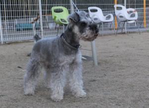 2014_122712-21ハーロック