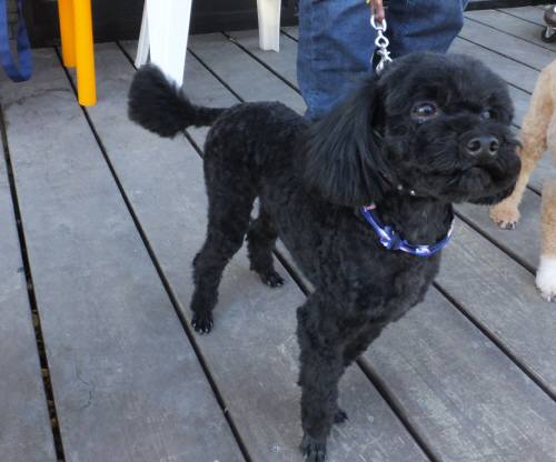 2014_123012-23ウルー