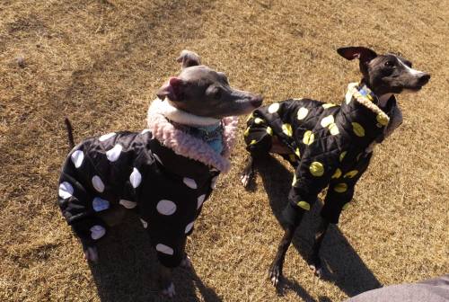 2014_122712-21マーブルモネ