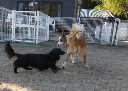 2014_122712-21ラウルシェリー