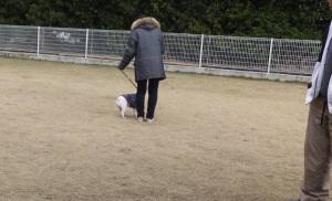 2014_121212-9脚側チェルシー