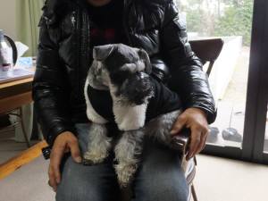 2014_121712-15クレア