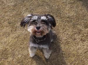 2014_122412-19茶々