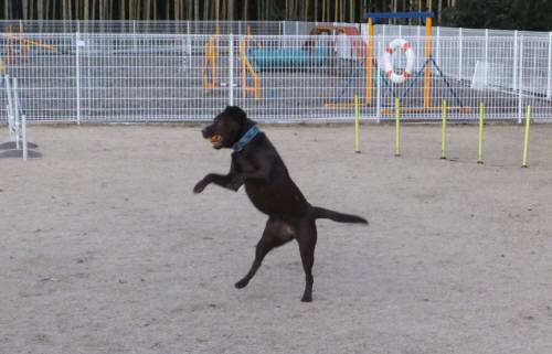 2014_122412-19ララ