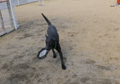 2014_122212-17ハル