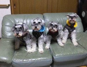 2014_123012-23メーテルファミリー