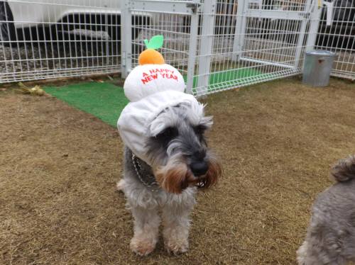 2014_121212-9シュートもち