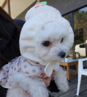 2014_122312-18めるもち