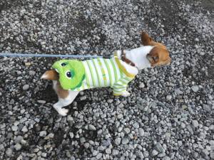 2014_121912-16ガチャピンチャッピー