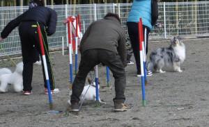 2014_121312-1スルー