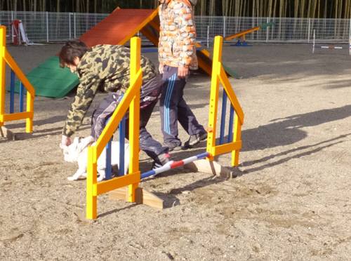 2014_121312-1チェルシー２