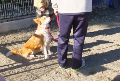 2014_122712-21シェリー