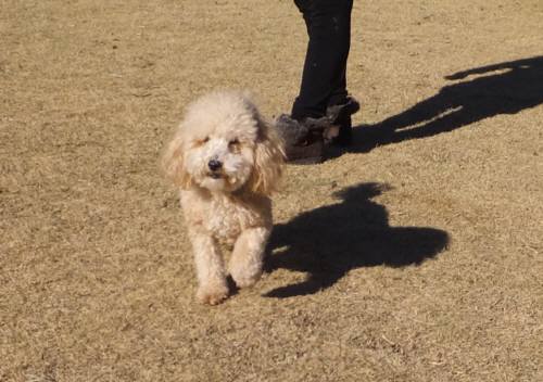 2014_122312-18ふう