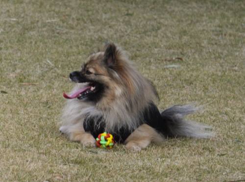 2014_121012-8ぽんちゃん