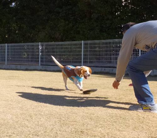 2014_120612-4むさし