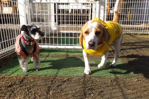 2014_122012-17もぐムサシ