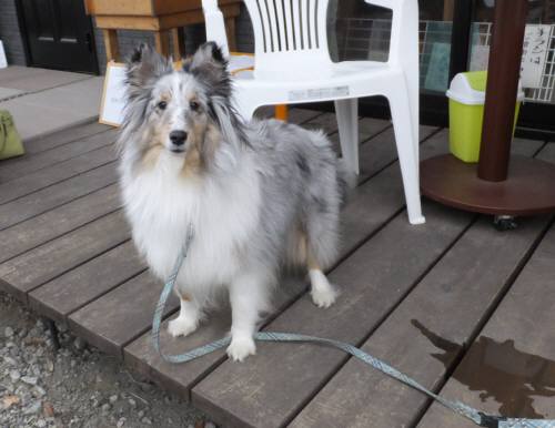 2014_121212-9アイル