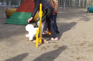 2014_121312-1アムル