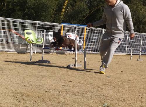 2014_123012-23サラ