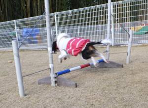 2014_121512-13あられ３