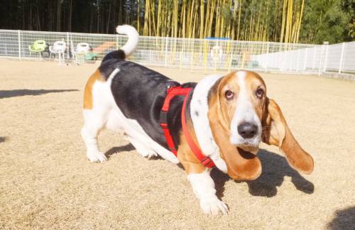 2014_122412-19マロンちゃん