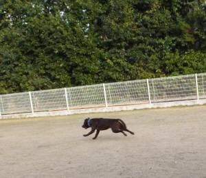 2014_121512-13らら