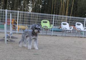 2014_122712-21マーヤ