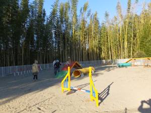 2014_122712-21Aフレーム