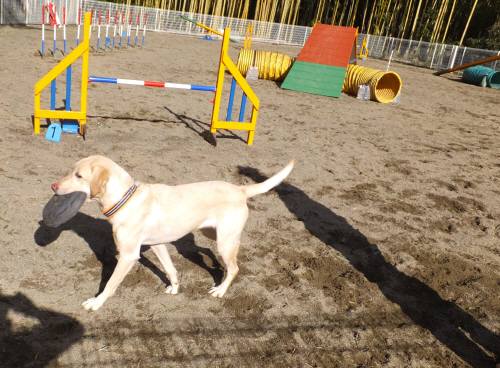 2014_122212-17なっつ